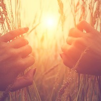 hands parting tall grass to look at the sunrise