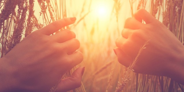 hands parting tall grass to look at the sunrise