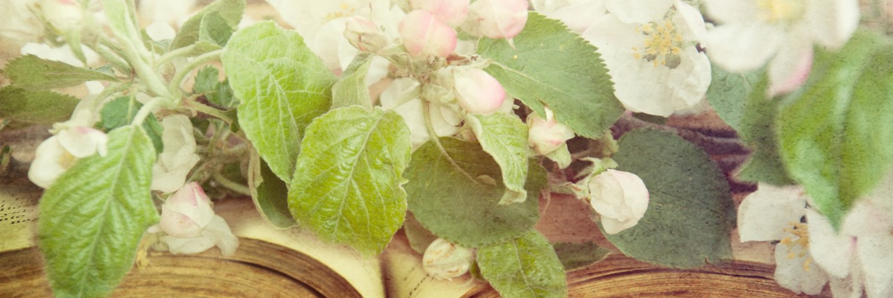 Poem That Makes Me Feel Strong With Borderline Personality Disorder Open vintage book with blossom branch.