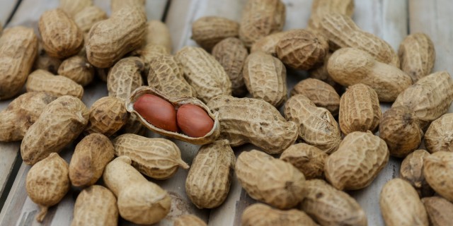 NIH Changes Peanut Recommendations to Help Kids Avoid Peanut Allergies a photo of peanuts in their shells.