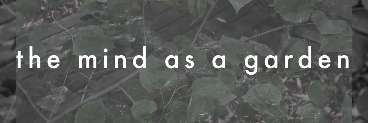 The Mind as a Garden: A Metaphor for Depression black background with words that say 'the mind as a garden'