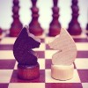 Two knight on a chessboard. Confrontation.