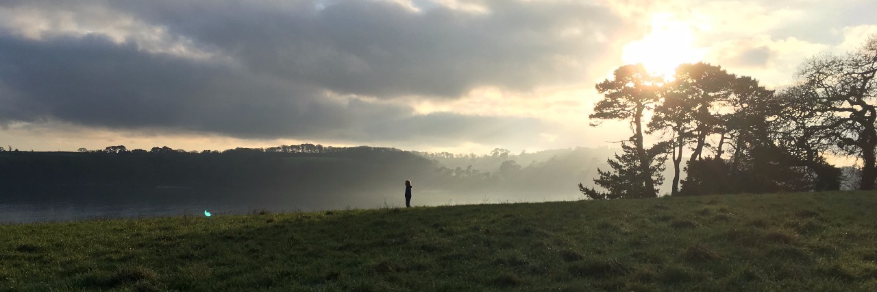 The Power of Social Media When You Are Sick sunset at field and trees