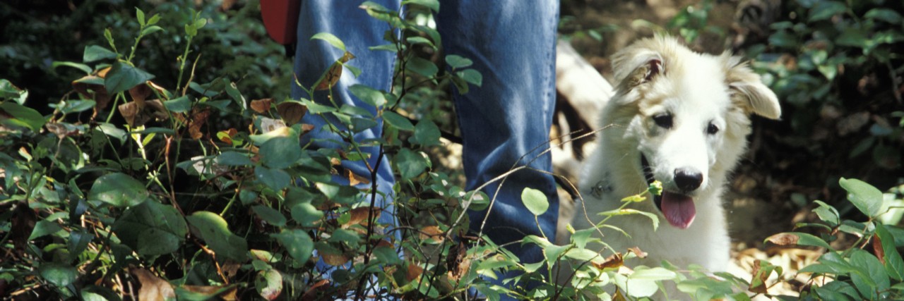The Significance of Taking a Walk With Chronic Illness Walking Your Dog On A Park Trail