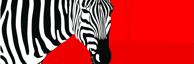 zebra on red background