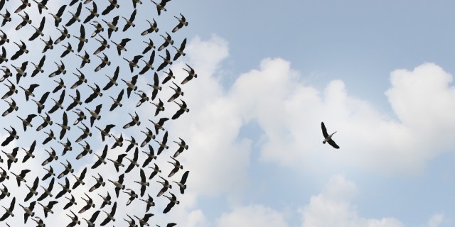 Please Don't Forget About 'Ultra-Rare' Diseases on Rare Disease Day birds in a flock except for one