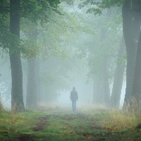 Anonymous man in hoodie walking alone in a lane on a foggy, autumn morning.