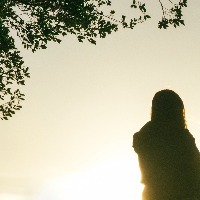 Woman standing near tree against bright sky at sunset