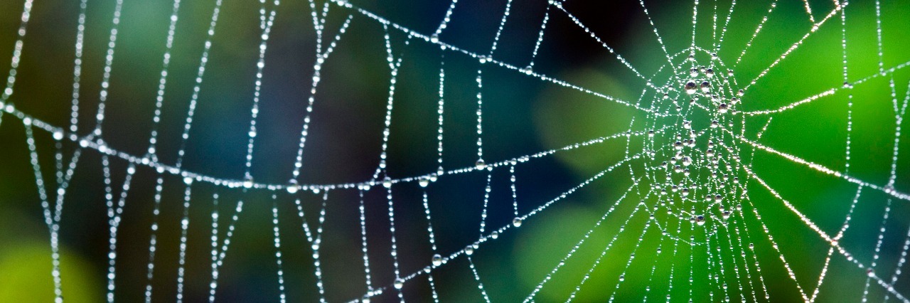 When Depression Feels Like Being Stuck in a Spiderweb Dew drops on a spider web.