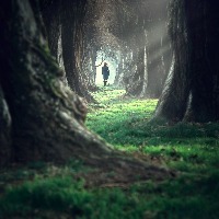 Woman walking in the mystic magic deep forest