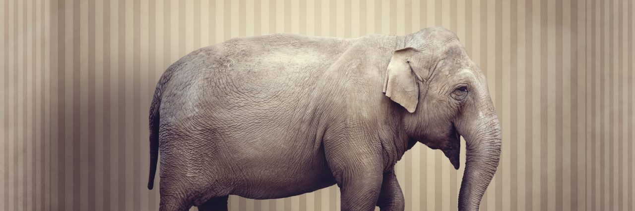 My Anxiety Elephant Elephant in the room