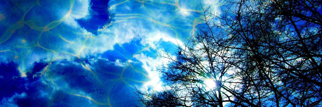 What My Mixed Mania Episode Looks Like Low angle view shot,trees and clouds covering the moon,night time