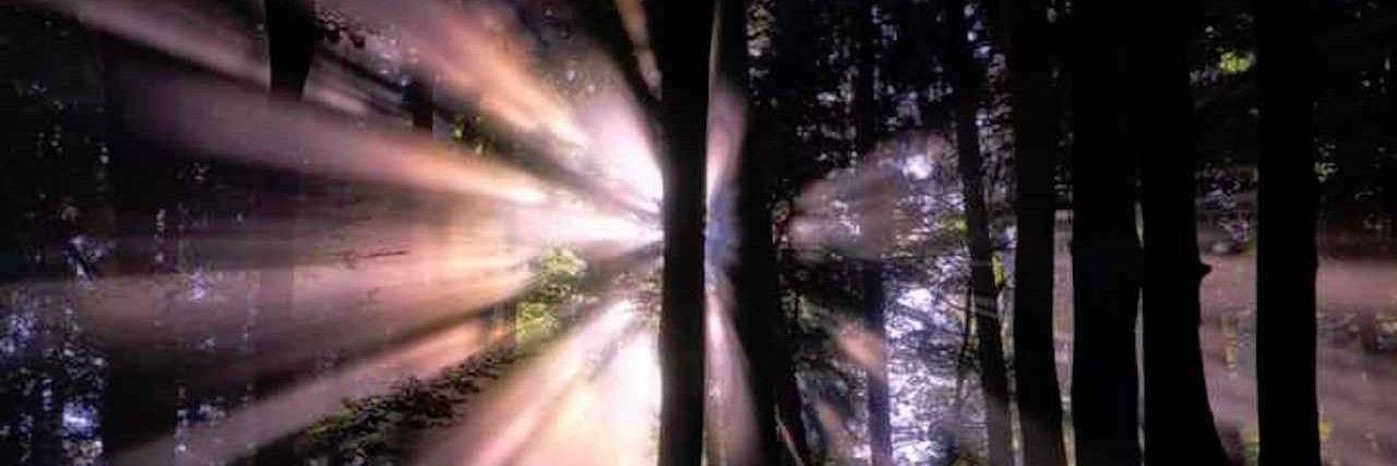 A Photo Diary of My Schizophrenia and Scary Hallucinations light behind forest trees