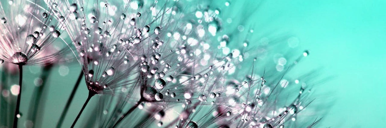 Lyme Disease: Using Meditative Principle 'Mudita' to Be Happy flowers with dew drops in front of aqua background