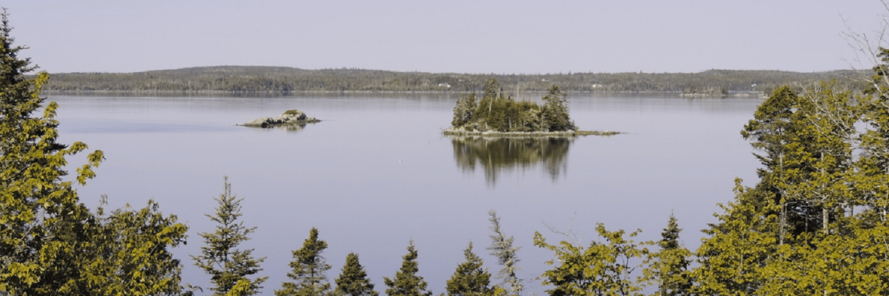 What It's Like for Me to Have Protanopia Color Blindness lake with forrest surrounding