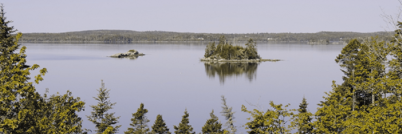 lake with forrest surrounding