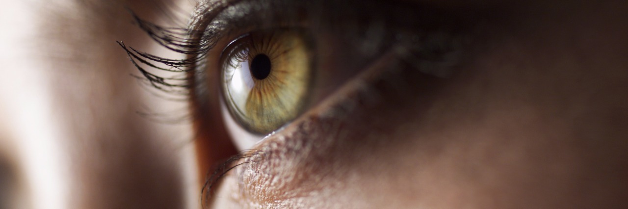 close up photo of a woman's green eye