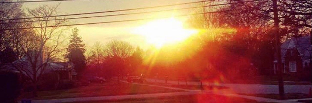 sunset over trees and neighborhood street