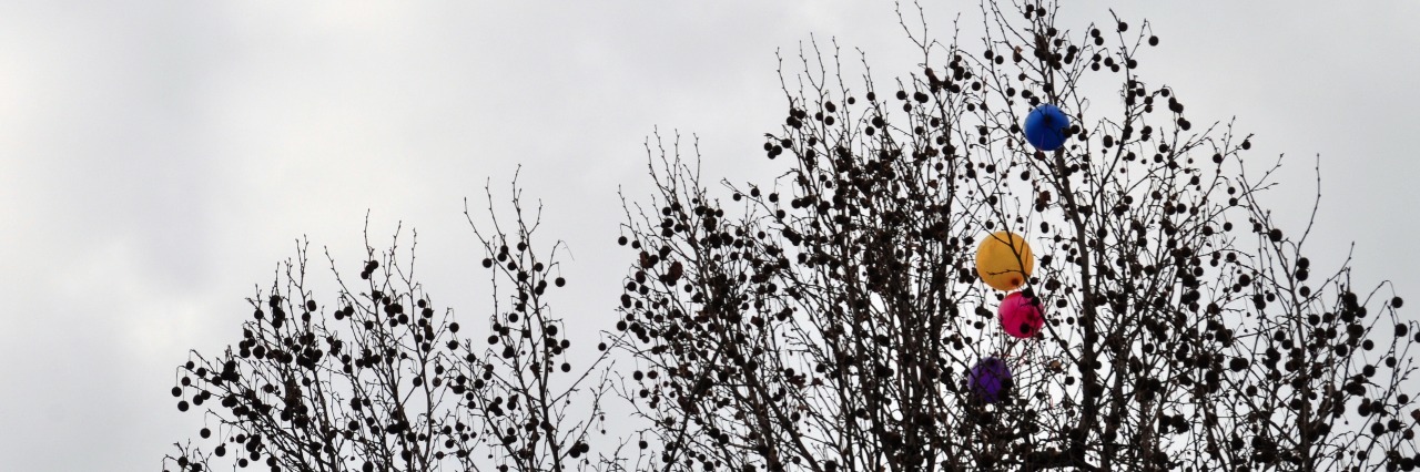 Finding the Silver Lining of Ehlers-Danlos Syndrome Bright balloons caught in a dark tree on a cloudy day.