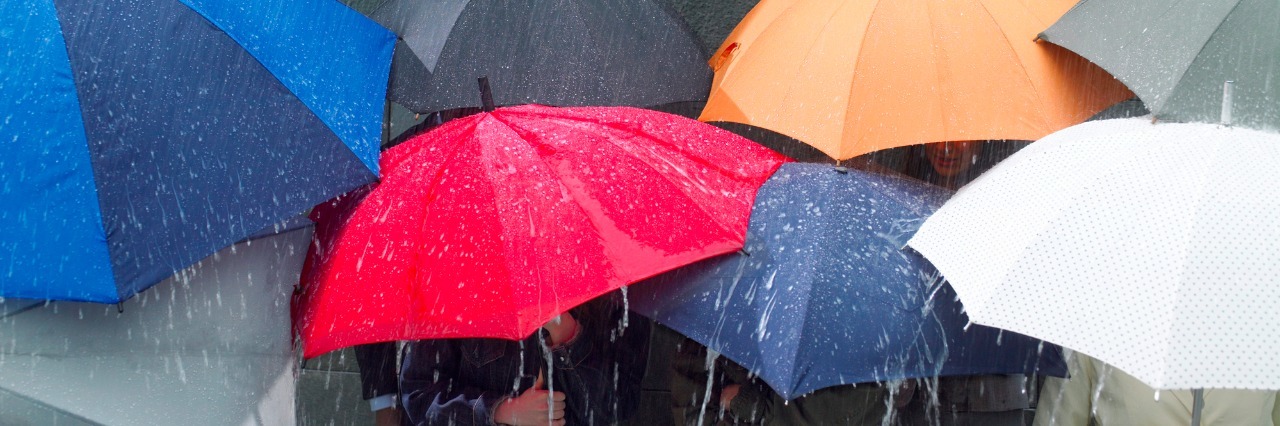 Group of people under umbrellas in rain