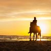 Horse riding at the beach at sunset.