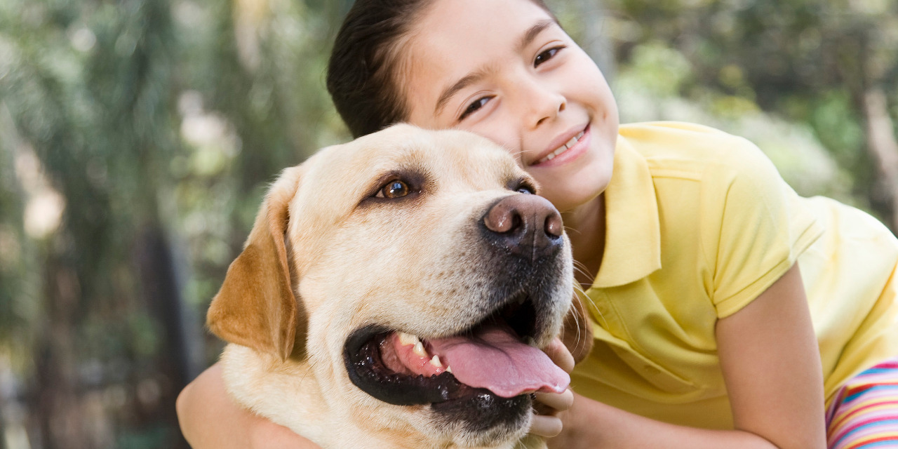 Rescue Dogs for Children With Disabilities