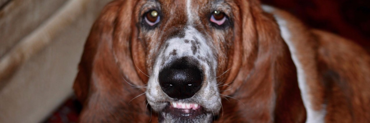 Using Humor to Cope With Crohn's Disease