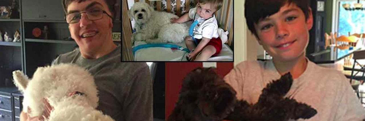 Collage of the author's two sons holding dogs, with photos of one of the author's sons at younger ages next to the family dog