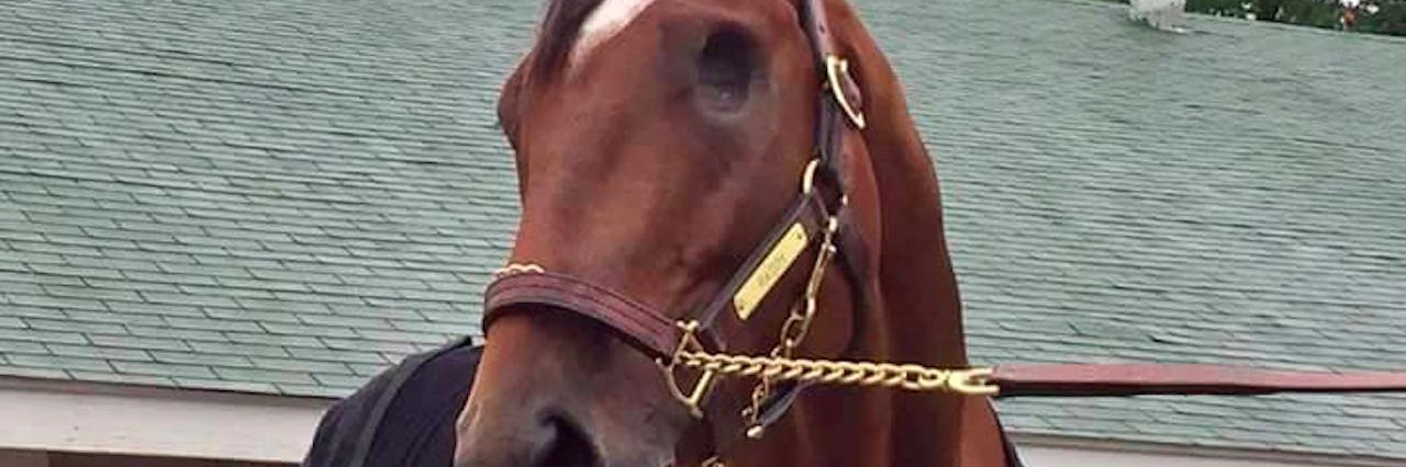 Cheering for Patch at the Kentucky Derby as Someone With CRPS patch horse kentucky derby