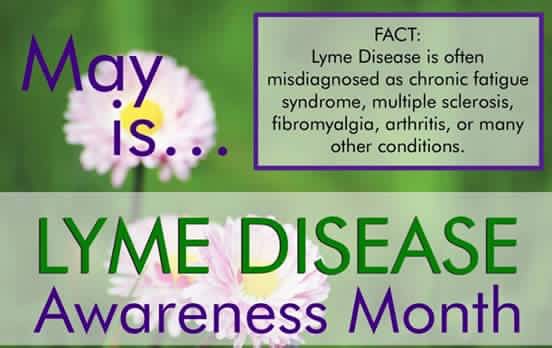 lyme disease awareness month image with caption explaining lyme disease is misdiagnosed and as other conditions