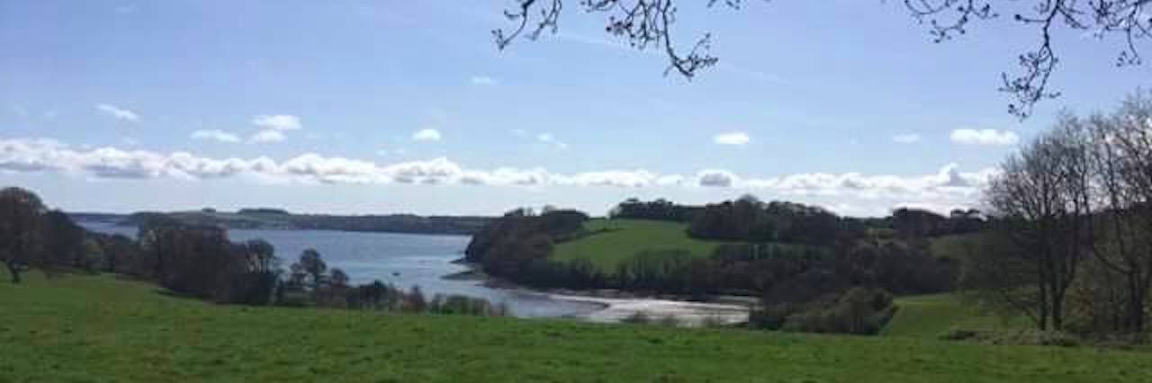 The Struggle of Being on Disability as a Single Mom green field with lake and trees