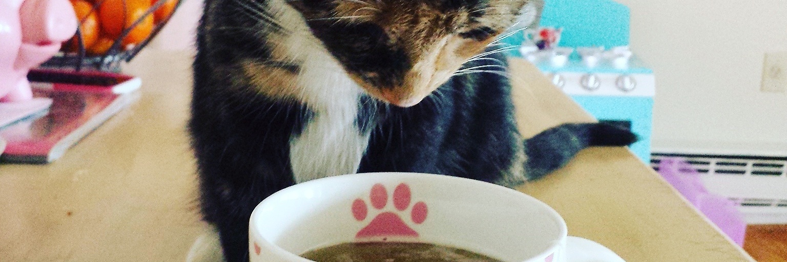 contributor's cat Lilith looking at mug of tea with message 'crazy cat lady' on it