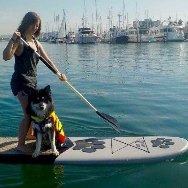 woman and malamute on board paddling in ocean