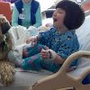 Little girl sitting on hospital bed, smiling and excited to have a brown therapy dog on the bed with her