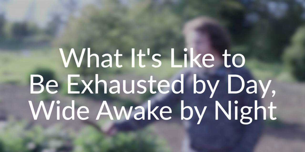 What It's Like to Be Exhausted by Day, Wide Awake by Night