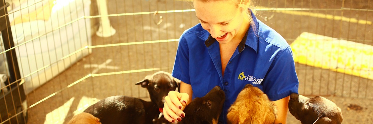 Finding the Strength To Fight Bulimia in Shelter Dogs The author surrounding by dogs.