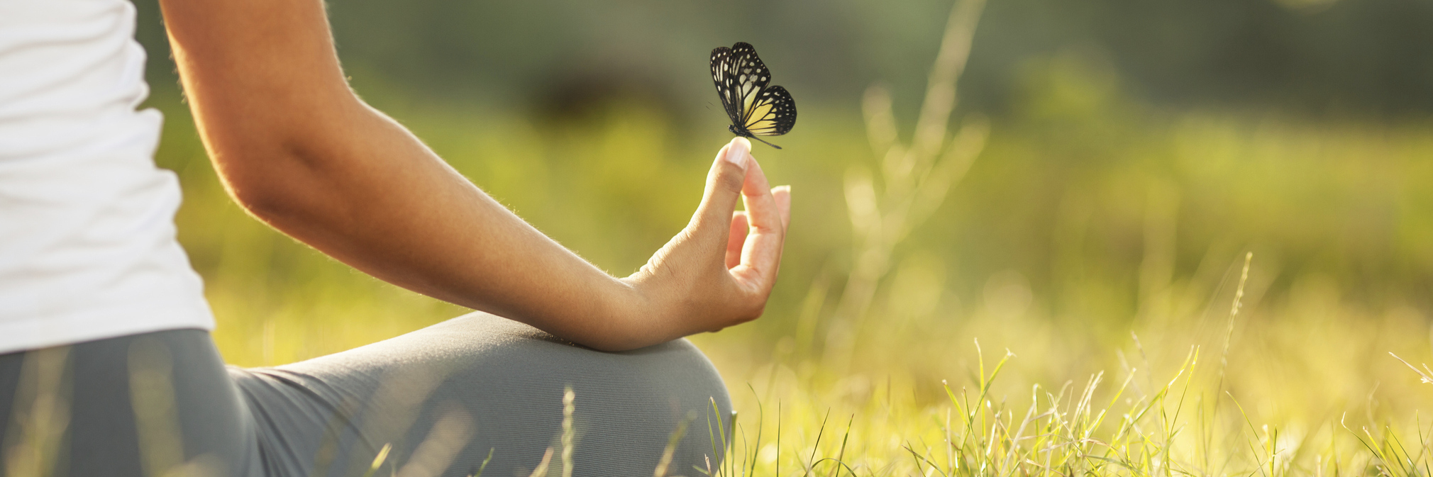 woman meditating in a field with a butterfly on her hand