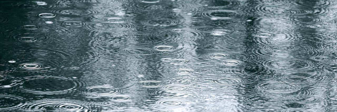 My Experience With the Stages of Grief and the Grieving Process reflection of trees in a puddle with rain falling