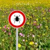 tick sign in a flower meadow