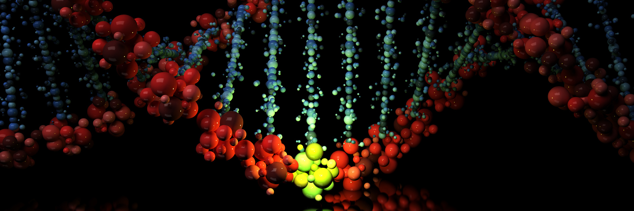 MTHFR Gene Mutation and Lyme Disease gene mutation