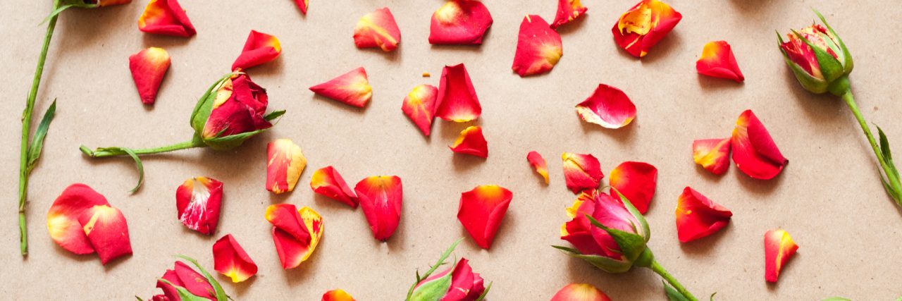 If You Live With a Mental Illness, You're Going to Be OK Scattered roses