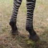 zebra hooves