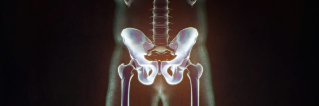 Ilium bone, hip bone pelvis. Human anatomy, skeletal structure xray.
