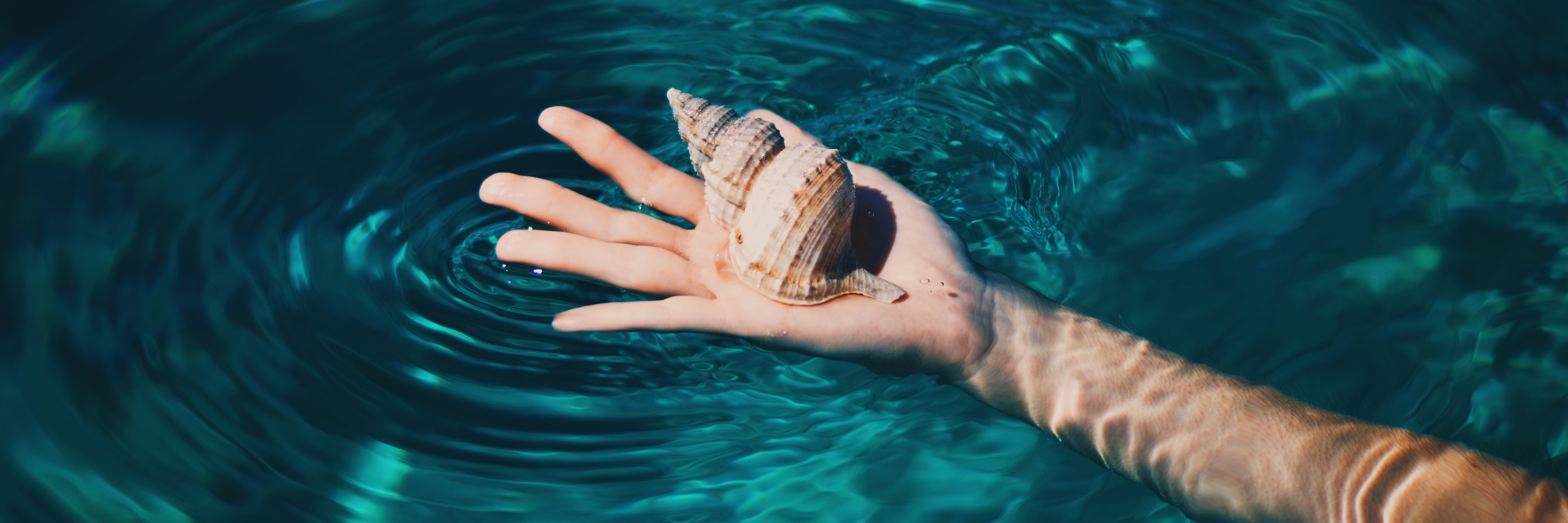 person's hand in clearwater holding shell concept for letting go
