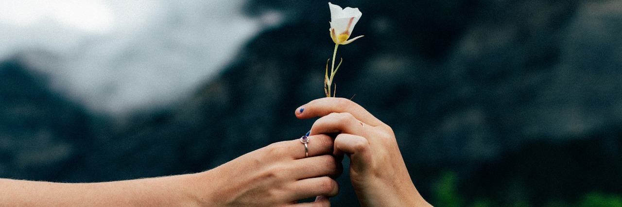 one hand giving flower to second hand outstretched in front of mountains