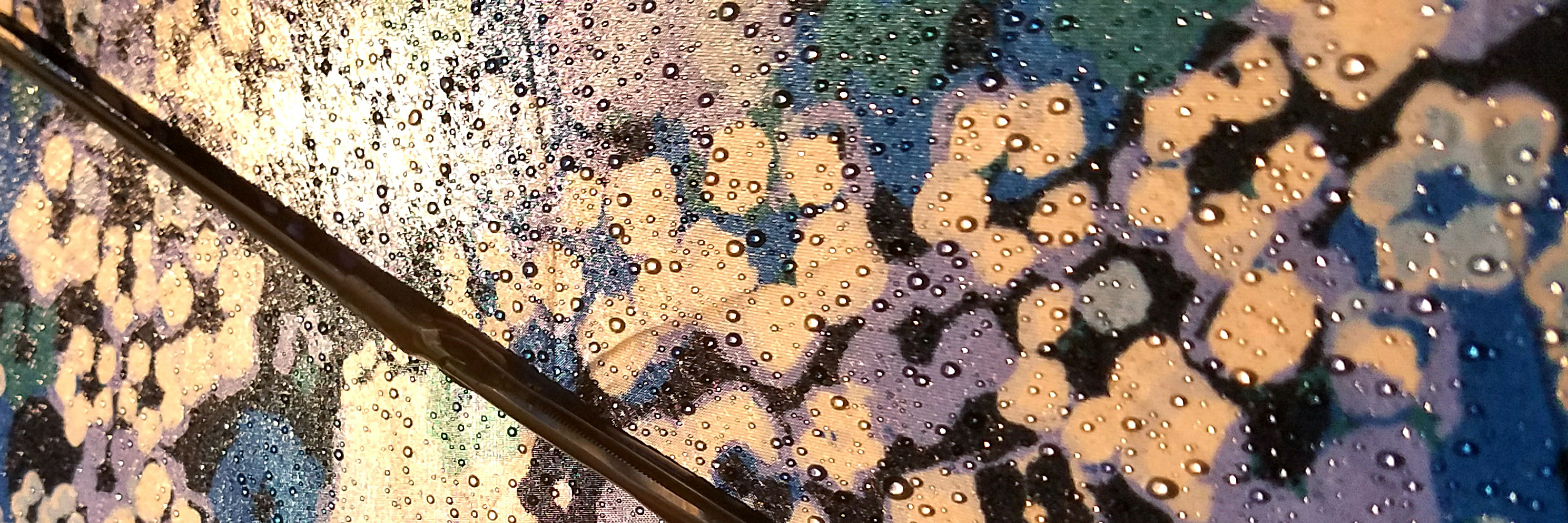 Today It Is Raining: A Poem on Mental Illness abstract flower and leaf design umbrella with raindrops and light