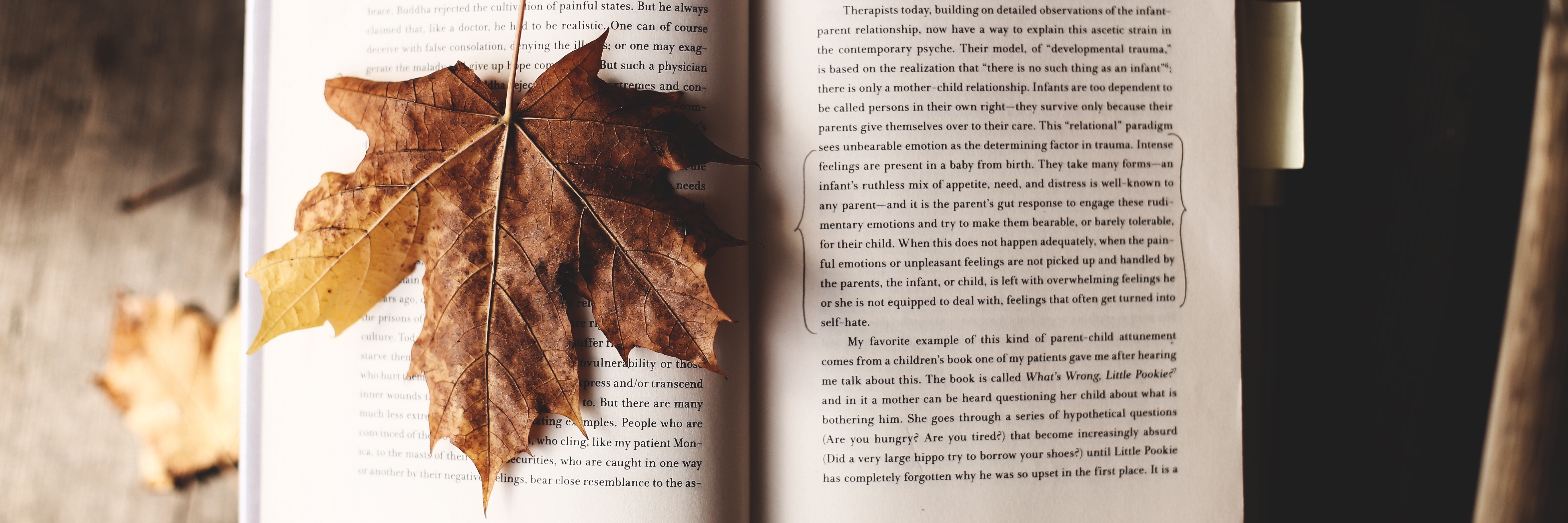 autumn leaf on open book