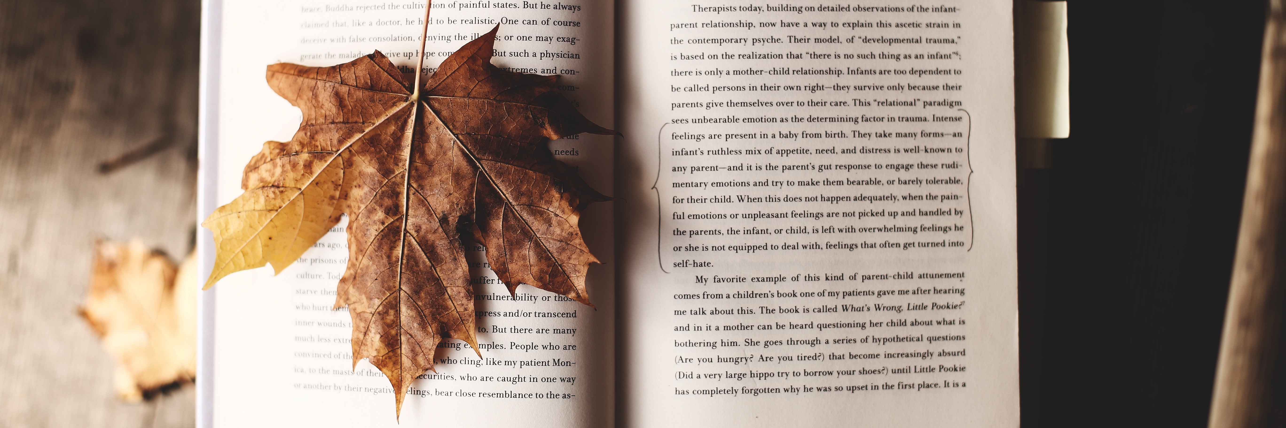 Books That Always Help Me When I'm Struggling With Depression autumn leaf on open book