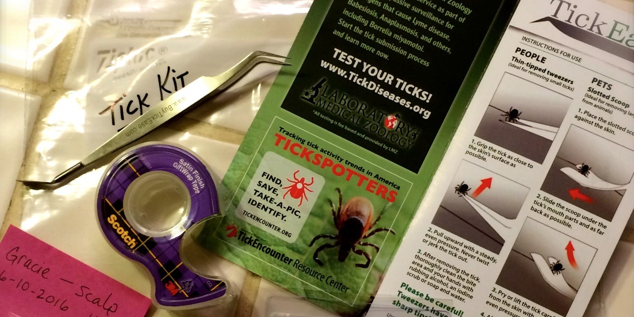 Tick Abzieher ein wesentlicher Erste Hilfe Kit Artikel. Set 3 Lyme-Krankheit 