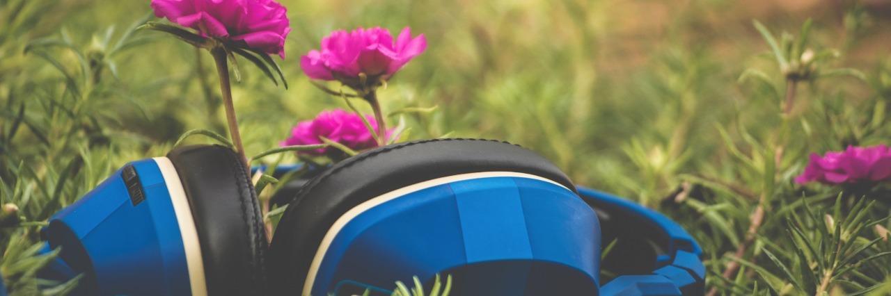 blue headphones resting on grass with small pink flowers